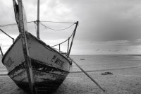 /album/galerie-de-photos/bateau-jpg/